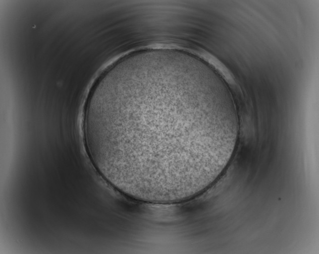 X0000093260856200710031602