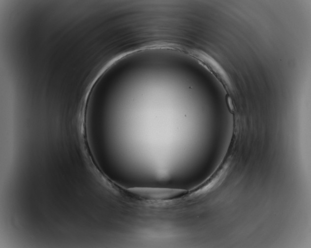 X0000093260860200710031602