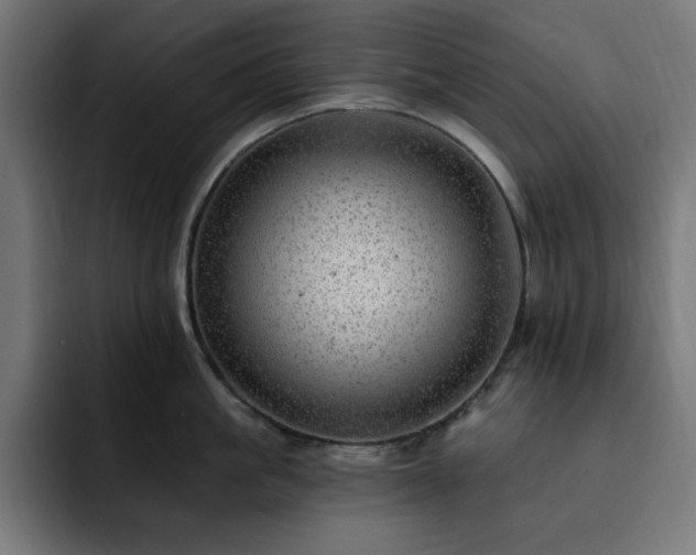 X0000093260861200710031602