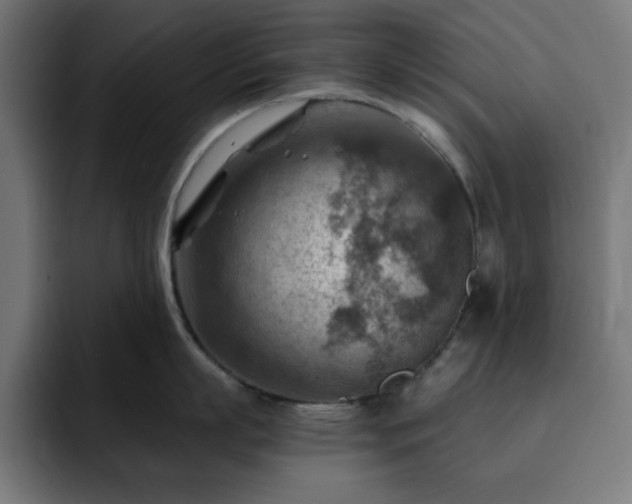 X0000093260863200710031602