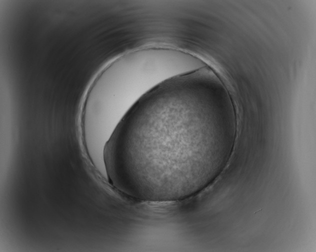 X0000093260864200710031602