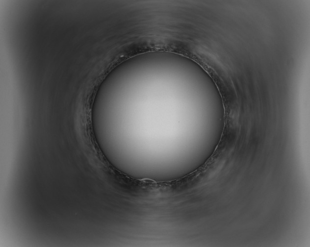 X0000093260865200710031602