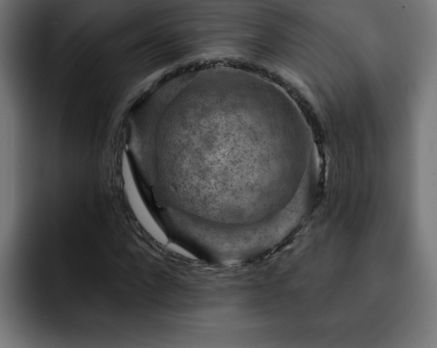 X0000093260872200710031602