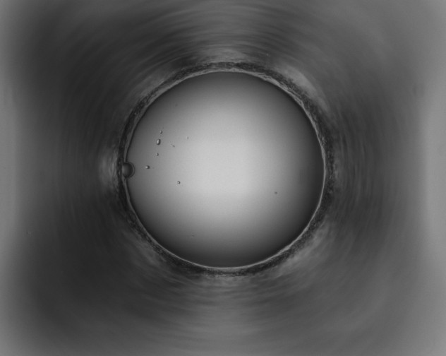 X0000093260873200710031602