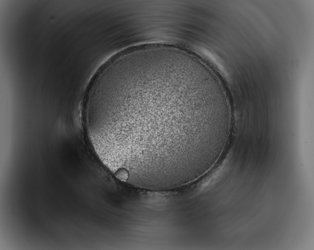 X0000093260875200710031602