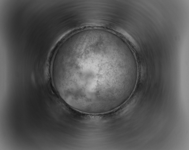 X0000093260878200710031602