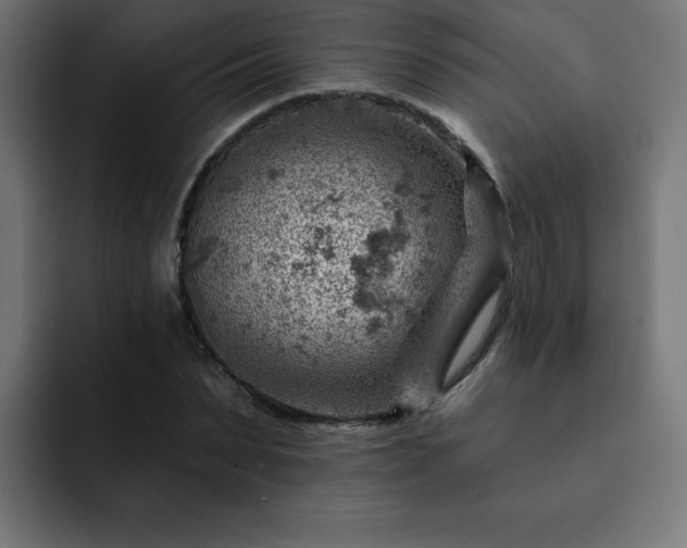 X0000093260879200710031602