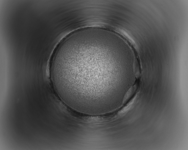 X0000093260883200710031602