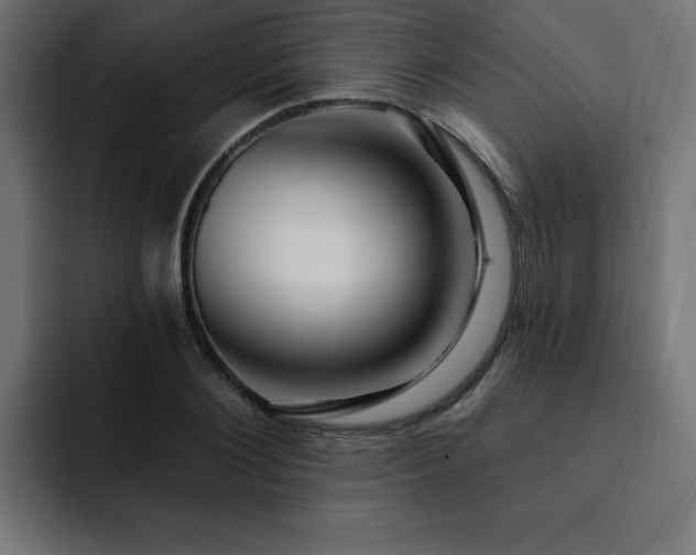 X0000093260884200710031602