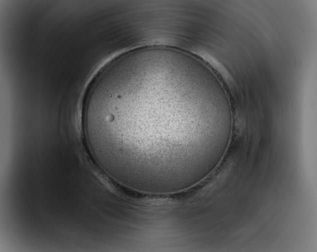 X0000093260886200710031602