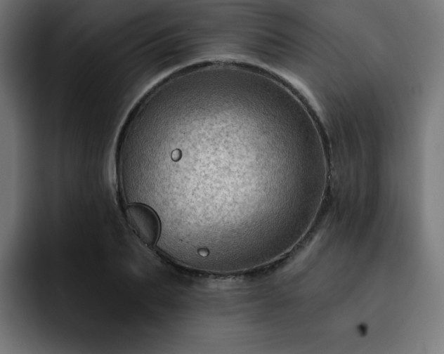 X0000093260887200710031602