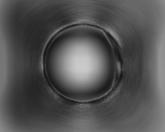 X0000093260888200710031602