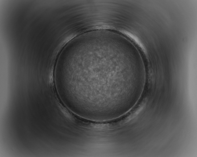 X0000093260889200710031602