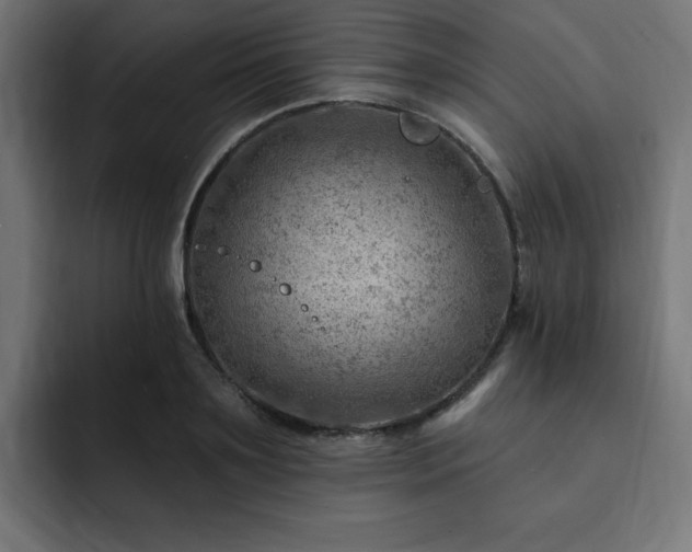 X0000093260891200710031602