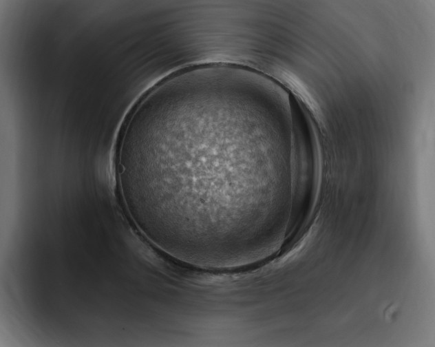 X0000093260892200710031602