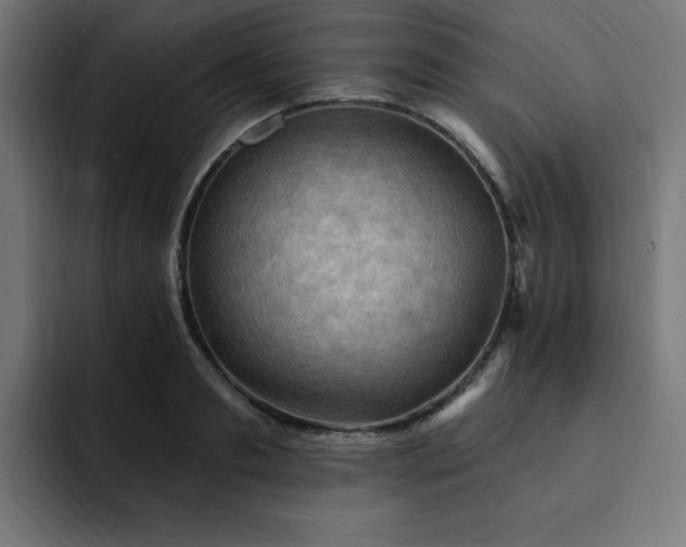 X0000093260893200710031602