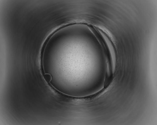 X0000093260894200710031602