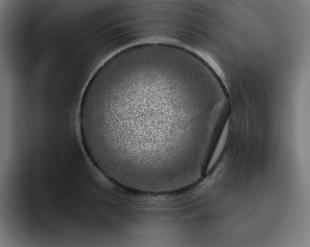 X0000093260895200710031602