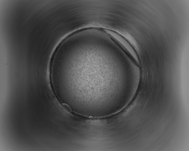 X0000093260896200710031602