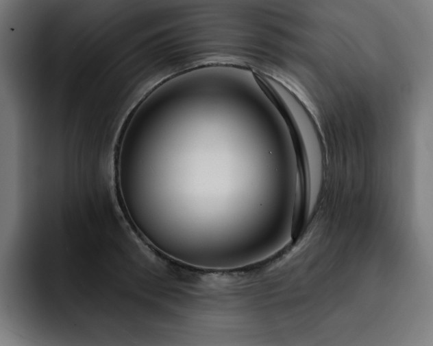 X0000093260898200710031602