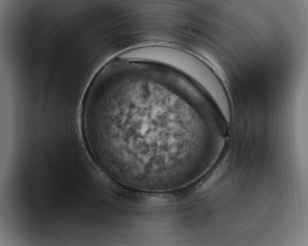 X0000093260899200710031602