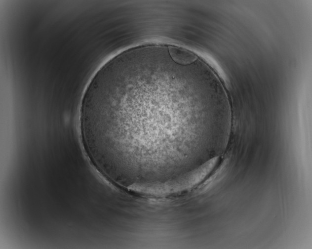 X0000093260903200710031601