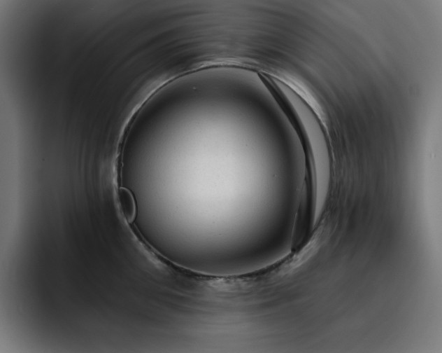 X0000093260906200710031601