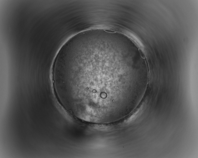 X0000093260907200710031601