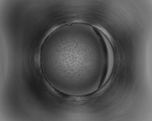 X0000093260910200710031601