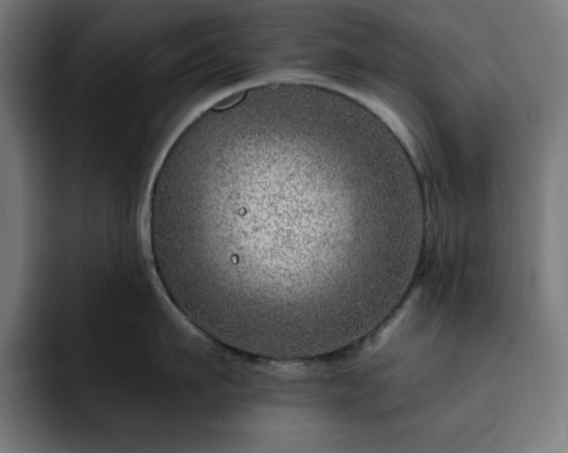 X0000093260911200710031601