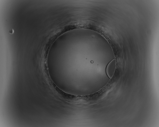 X0000093260913200710031601