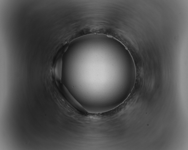 X0000093260914200710031601