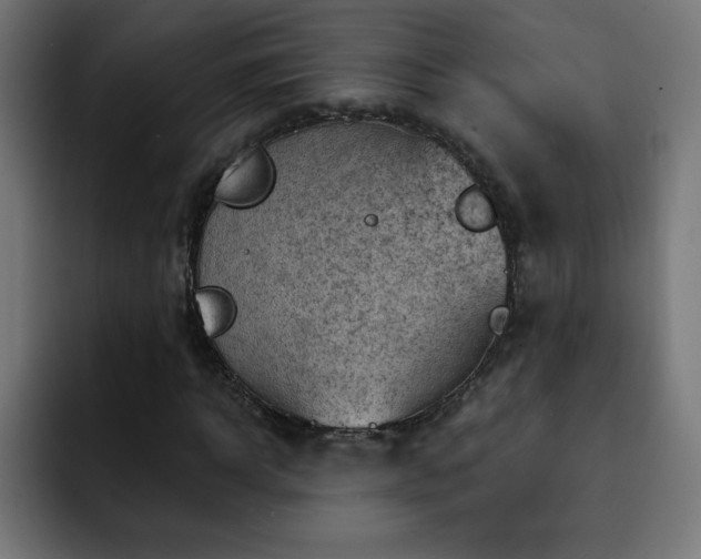 X0000093260918200710031601