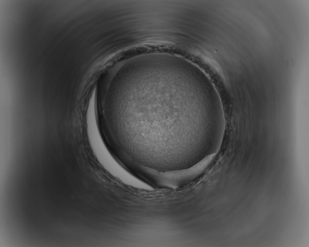 X0000093260920200710031601