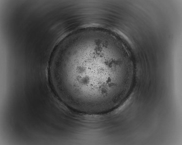 X0000093260921200710031601