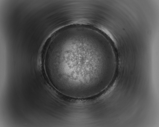 X0000093260923200710031601