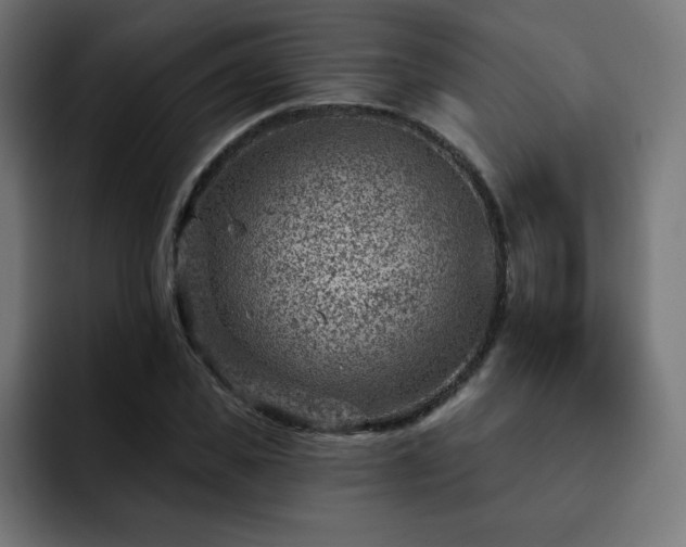 X0000093260925200710031601