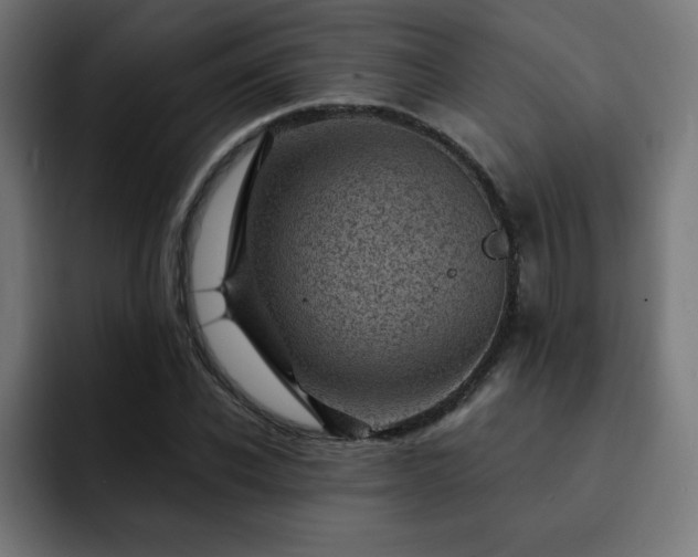 X0000093260926200710031601