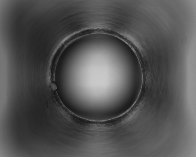 X0000093260927200710031601