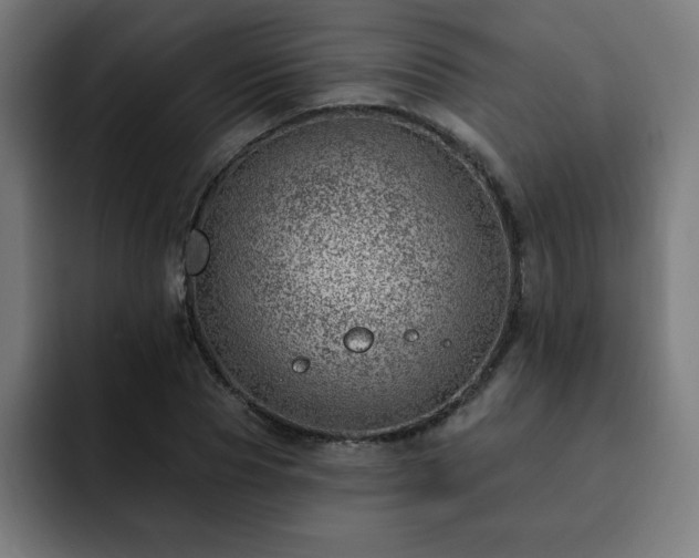 X0000093260929200710031601