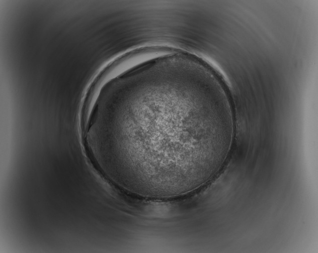 X0000093260935200710031601