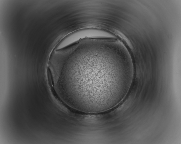 X0000093260938200710031601