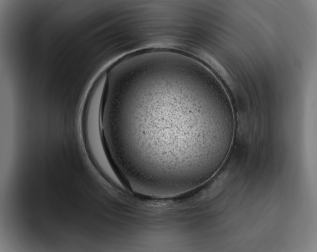 X0000093260939200710031601