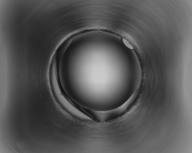 X0000093260942200710031601