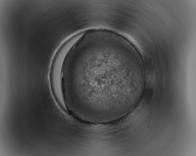 X0000093260943200710031601