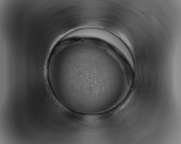 X0000093260944200710031601