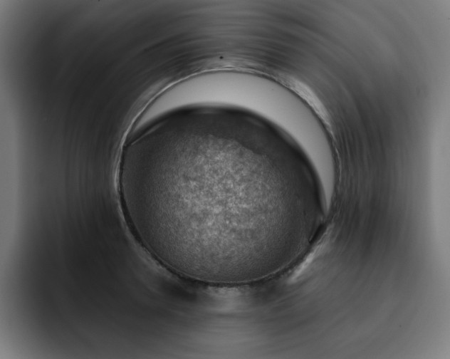 X0000093260946200710031601