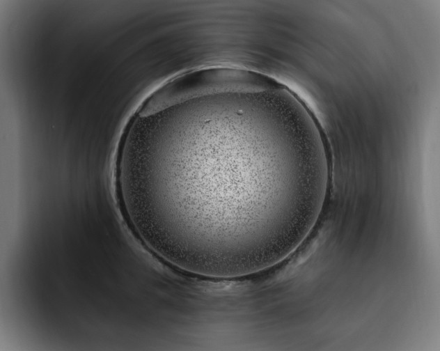 X0000093260949200710031601