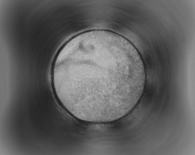 X0000093260950200710031601