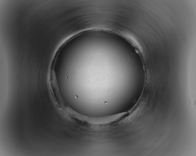 X0000093260952200710031601